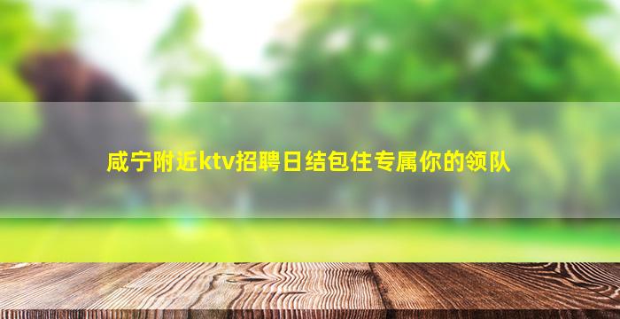 咸宁附近ktv招聘日结包住专属你的领队